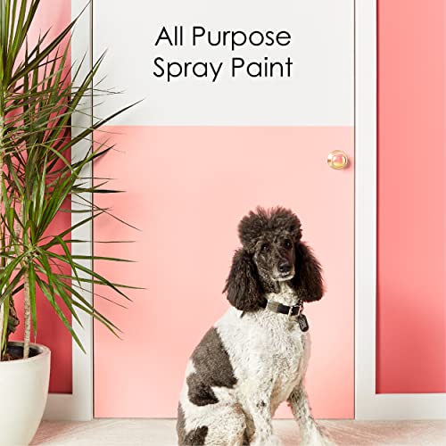 Krylon K05505007 COLORmaxx Spray Paint and Primer for Indoor/Outdoor