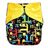 EcoAble Baby Charcoal Bamboo All-In-One AIO Cloth Diaper w/ Pocket, Size 10-30Lb (Pi)