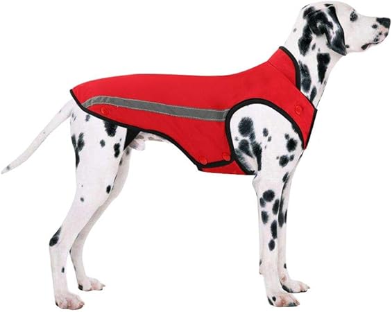 great dane clothes