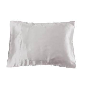 Amazon Com Lilysilk 3101 06 30x40 19 Momme 100 Mulberry Silk