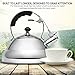 Vescoware Premium Whistling Tea Kettle, Rust Resistant Stainless Steel Teapot - 3 Litres