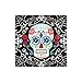amscan Day of The Dead Beverage Napkins (36 Pack)