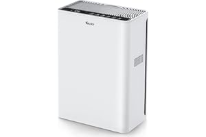 Очиститель воздуха, домашние очистители воздуха для больших помещений площадью до 1620 кв. Футов, воздушный фильтр VEWIOR H13 True HEPA с 5 настройками таймера 3 вентилятора