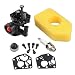 Hipa 795477 Carburetor + 698369 Air Filter for Briggs & Stratton 795469 794147 699660 794161 498811