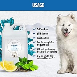 Veterinary Formula Solutions Snow White Shampoo for