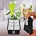 Whiskey Ice Cube Trays Set By BobyChef - Silicone Cube and Balls, Professional Food Grade Silicone - Sphere Ice Maker & Large Square Mold - Flexible & Reusable - Cool Drinks, Liquids or Popsicles