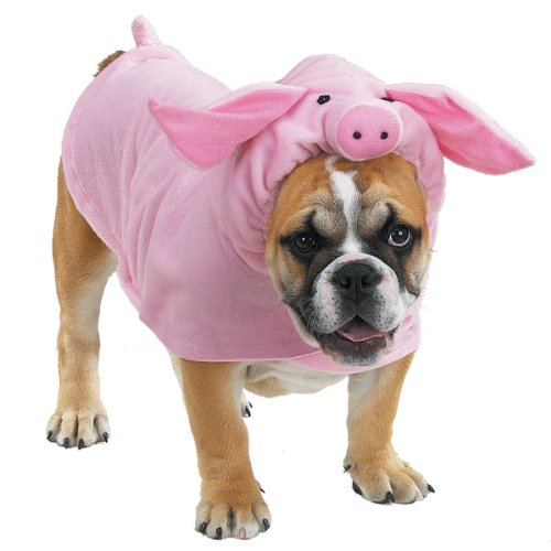 Casual Canine 8-Inch Polyester Piggy Pooch Dog Costume, X-Small