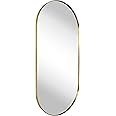 TEHOME Brushed Gold Oval Bathroom Mirror 20x40'' Pill Shaped Oblong Vanity Mirror Metal Framed Capsule Mirror for Wall in Sta