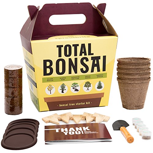 Sproutbrite Bonsai Tree Seed Starter Kit - Grow 5 Trees from Seed - The Most Complete Gardening kit for Growing Mini Bonsai Trees Indoors
