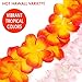 LongSky 50 Counts Hawaiian Leis Party Favors Tropical Hawaiian Necklace Silk Flower leis for Luau Beach Birthday Party Decorations and Party Supplies