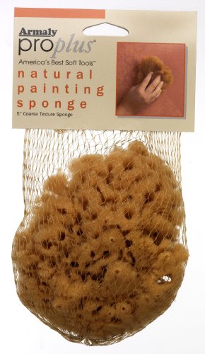 Proplus natural painting sponge coarse texture, small