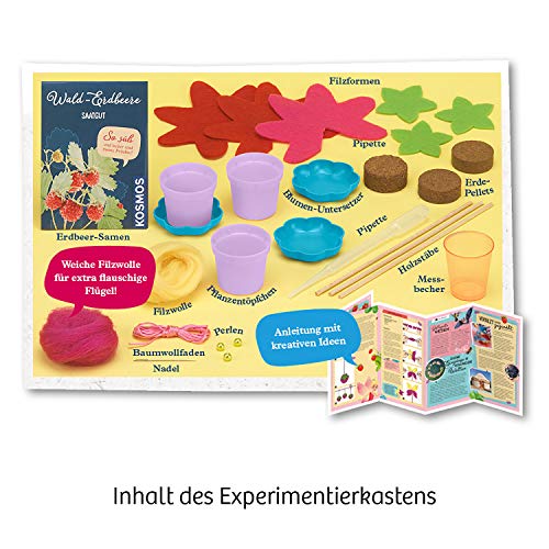 KOSMOS 657819 Feen-Erdbeeren Experimentierset für Kinder, Mädchen ab 6 Jahren, Planzset für Kinder, Experimentier-Set für Kinder – Bild 4