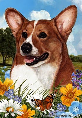 corgi flower
