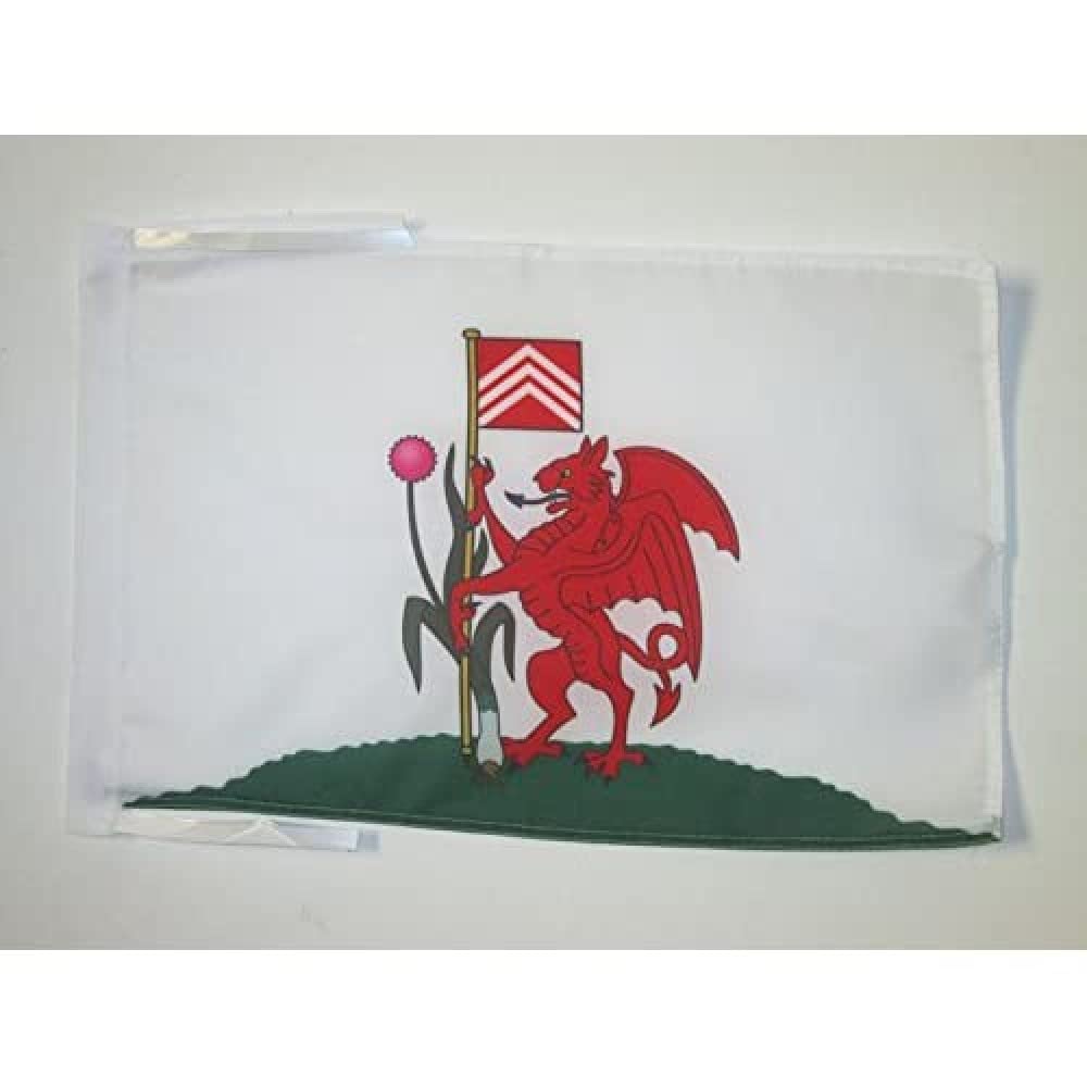 AZ FLAG - Cardiff Flag - 18'' x 12'' - 100% Polyester Cardiff - Walles Small Banner with Two Cords - Fade Resistant - Vivid Colors - 18x12 in - 45x30 Cm โ image 1