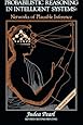 Probabilistic Reasoning in Intelligent Systems: Networks of Plausible Inference (Morgan Kaufmann Series in Representation and Reasoning)