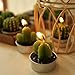 Cactus Candles, Mini Cute Tealight Candles for Christmas, Home, Decor, Birthday, Party, Wedding 6 Pcs (Gift Wrap)