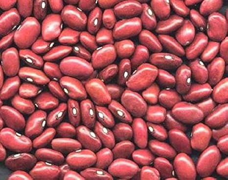 Amazon インゲン豆種子家宝野菜種子タンパク質チリビーンズ アートフレーム ポスター オンライン通販