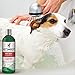 Vet's Best Hot Spot Itch Relief Shampoo for Dogs - Relieves Dog Dry Skin, Rash, Scratching, Licking, Itchy Skin, and Hot Spots - 16 Ounces