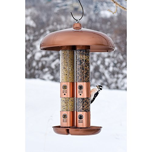 Perky Pet 7103 2 Copper Finish Triple Tube Bird Feeder Buy