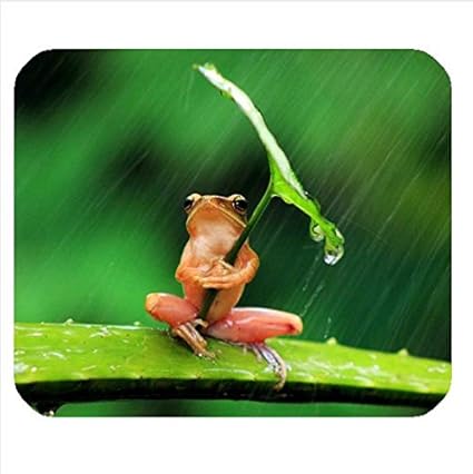 Amazon Co Jp ユニークなデザイン カスタマイズamazing Tree Frog Pattern 可愛い アマガエル画像 マウスパッド マウスマット Personalized Mouse Pad Mousemat 家電 カメラ