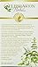 Celebration Herbals Spearmint Leaf 24 Count