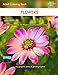 Adult Coloring Book Flowers: Edition: White margins (Simply Coloring by Lech) by Lech Balcerzak