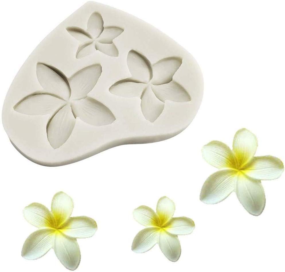 Dubens 2pcs Plumeria Blume Silikon Form Fur Diy Gelee Aufnahmen Desserts Handgemachte Eis Fondant Schokolade Cupcake Kuchen Topper Dekoration Seife Mould Sussigkeiten Ice Cube Kuche Kochen Backen Backen Pacificdermatologycenter Com