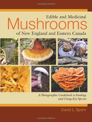 Edible and Medicinal Mushrooms of New England and Eastern Canada