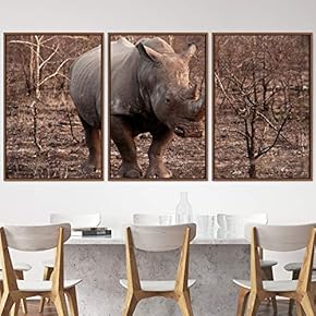 signwin 3 Piece Framed Canvas Wall Art Stomping...
