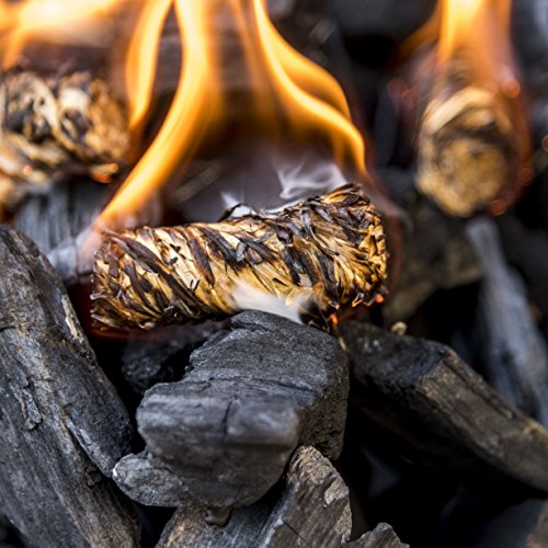Oklahoma Joe's Fire Starters- 24 Pack