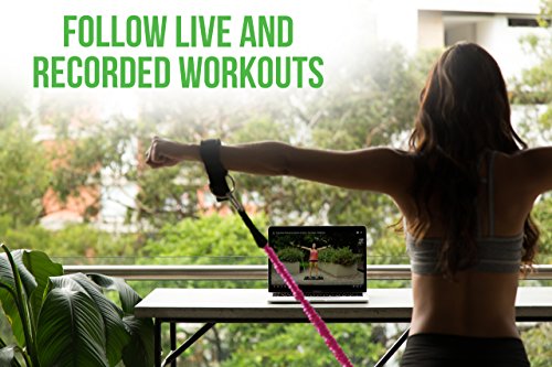 BodyBoss-20-Full-Portable-Home-Gym-Workout-Package-Resistance-Bands-Collapsible-Resistance-Bar-Handles-Full-Body-Workouts-for-Home-Travel-or-Outside