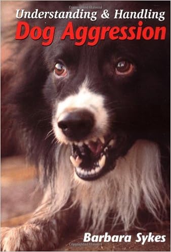 handling aggressive dogs