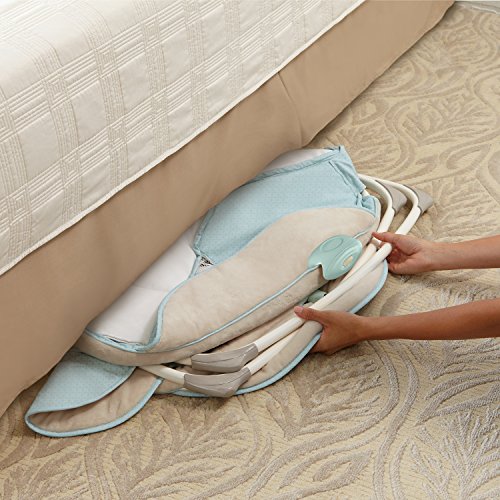Buy Ingenuity Moonlight Rocking Sleeper Lullaby Lamb Online At Low Prices In India Amazon In