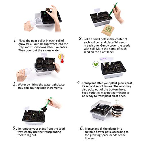 KORAM Herb Garden Kit Growing Kit Gardening Starter Set- 10 Herbs Grow from Organic Seeds Indoor Herb Kit with Everything a Gardener Needs for Growing Herbs Indoors, Kitchen, Balcony Christmas Gift
