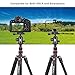 BONFOTO B690A Lightweight Aluminum Tripod Portable Travel Camera Stand with 360 Degree Ball Head and Carry Bag, Tripods for Canon Nikon Sony DSLR