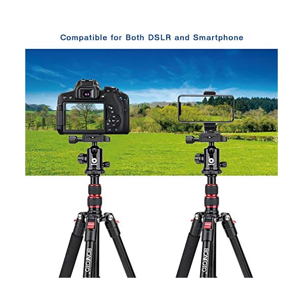 BONFOTO B690A Kamerastativ, leichte Aluminiumlegierung, tragbar, professionelles Stativ mit 360-Grad-Kugelkopf, 6,3 mm… – Bild 5