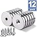 Grtard 12 Pack 1.26”D x 0.2”H Neodymium Disc Countersunk Hole Magnets. Strong, Permanent, Rare Earth Magnets, with 12 Screws