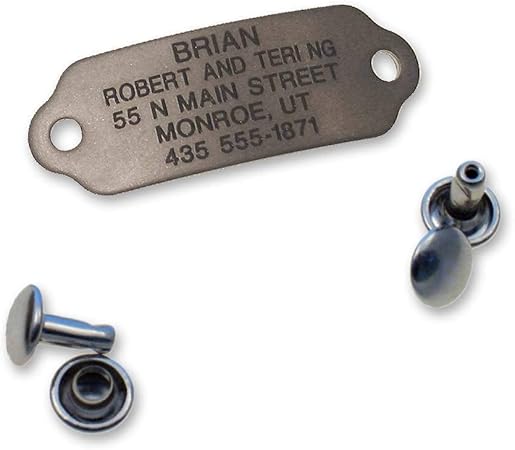 amazon dog tags for pets