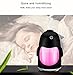 Winkeyes 150ml Creative Penguin Humidifier Mini USB Cool Mist Humidifier with 7 Color Changing LED Night Lights, Timed Auto Off Air Humidifier for Office Desk/ Bedroom/ Travel/ Car (White)