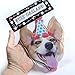 Corgis Garland, dog birthday party banner decoration, Made in USA, Best Quality