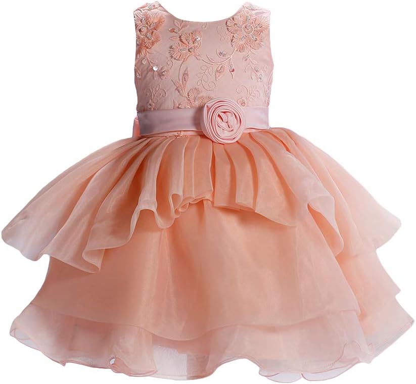 Si Rosa by Hopscotch Girls Polyester Applique Print Party Dresses in Pink Colour