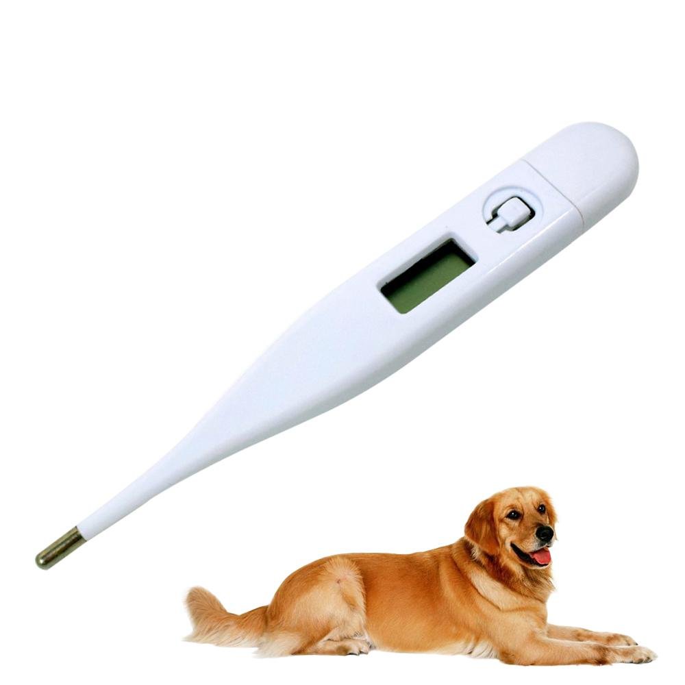 Aolvo akkurate Digitale Pet Thermometer, Schnelle Digitale Pet