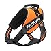 Chai's Choice Dog Harness Vest X Small (Orange) | Comfortable & Secure with Adjustable Strap Soft Padded Dog Vest | No-Choke & Easy Control Pet Oxford | 3M Reflective Stripes for Dog Visibility