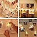 Zedoli Waterproof 20 LED Photo Clips String Lights, Battery Powered,String Lights for Indoor/Outdoor Decorate,String Lights with Photo Clips for Hanging Pictures,Cards and Artwork(10 Ft,Warm White)