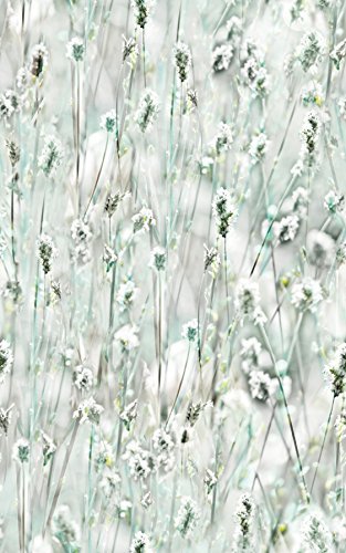 DC Fix 334-0029 Wildflowers Window Film by DC Fix