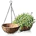HOUSWOUKER Hanging Planter Hanging Flower Basket 2Pack with Coco Coir Liner Metal Chain 12inch Round Wire Plant Growers Holder Flower Pots Hanger for Indoor Outdoor Garden Porch Decoration