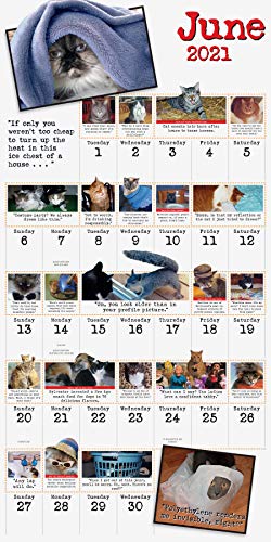 bad-cat-wall-calendar-2021-pricepulse