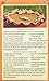 Farmers Market Organic Pumpkin-Puree-16 oz