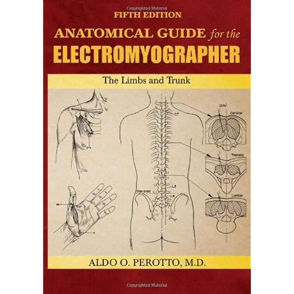 EPS概論 Textbook of electrophysiological 978-1-60327-202-5