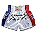 FLUORY Muay Thai Fight Shorts,MMA Shorts Clothing Training Cage Fighting Grappling Martial Arts Kickboxing Shorts Clothing
